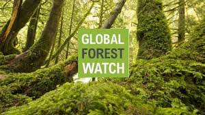 Global Forest Watch